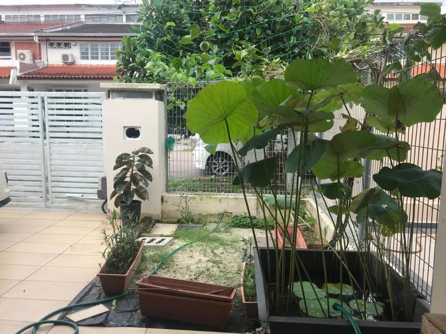 Terrace House Near Stulang Laut Ciq Midvalley Ksl For 7Pax Джохор Бахру Екстериор снимка